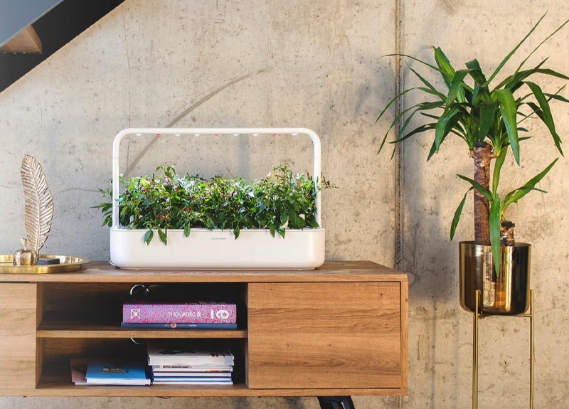 Smart Indoor Herb Garden